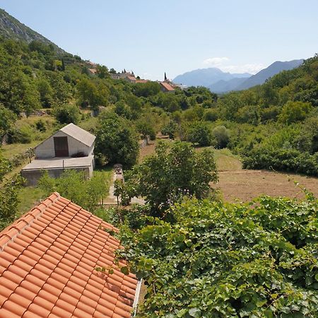 Apartman Nature Zvecanje Exterior foto